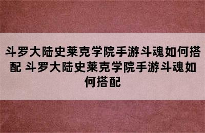 斗罗大陆史莱克学院手游斗魂如何搭配 斗罗大陆史莱克学院手游斗魂如何搭配